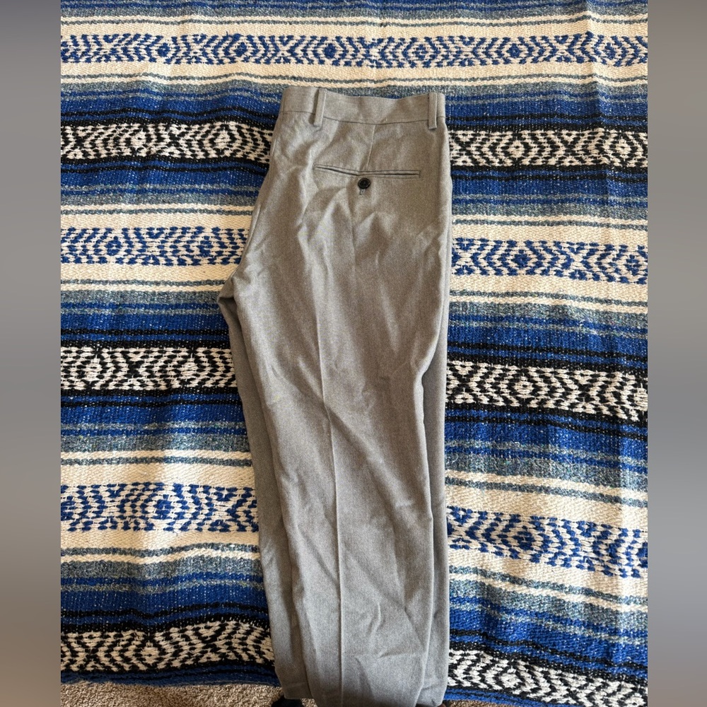 Express Dress Pants size 31x30